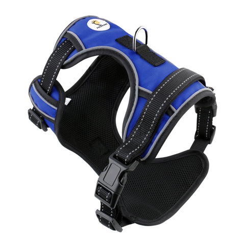 No-Pull Reflective Harness Clearance CLOSEOUT ALL SALES ARE FINAL **NO RETURNS**
