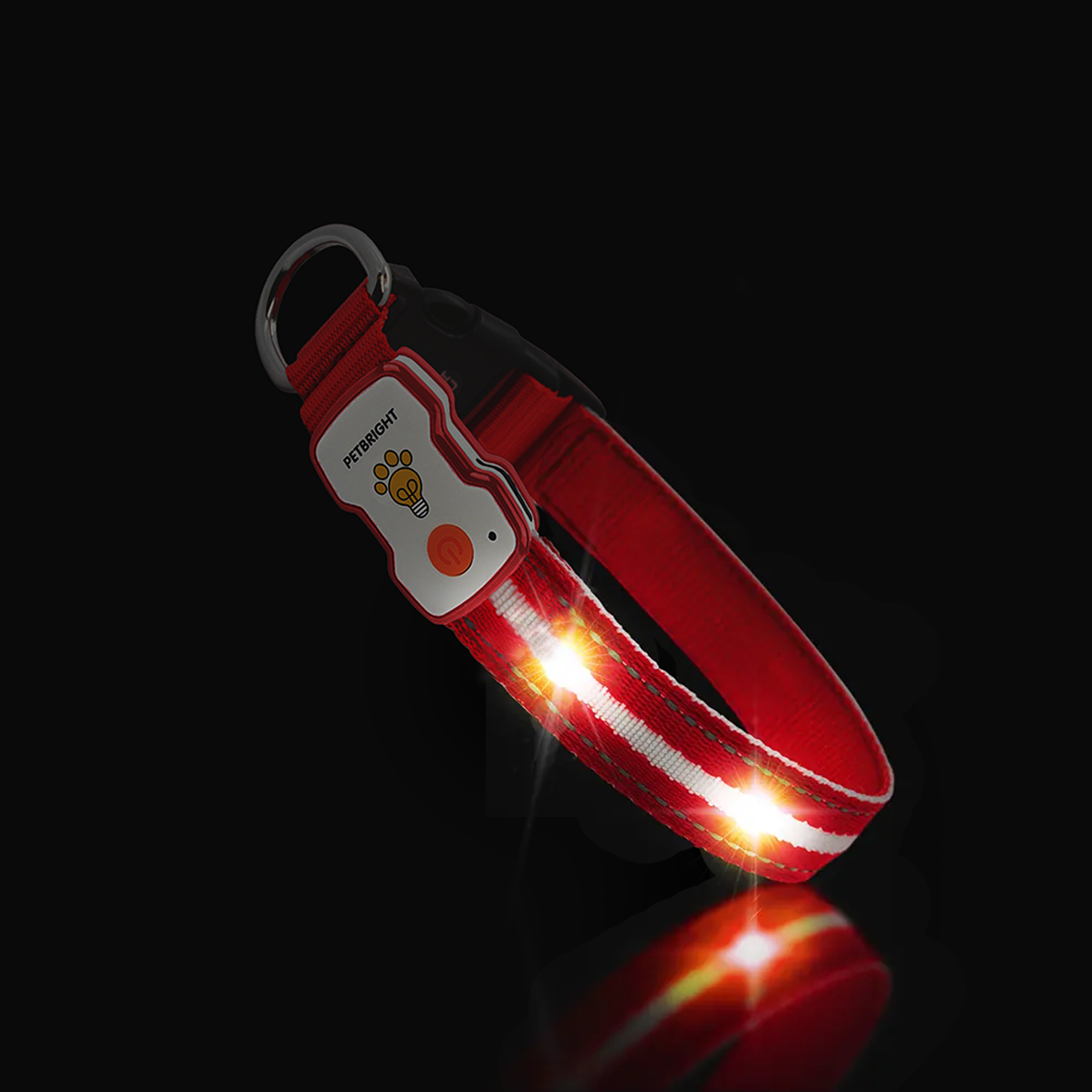 Lighted dog outlet collars