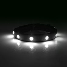 Load image into Gallery viewer, Lux LED Collar Clearance Closeout **NO RETURNS**
