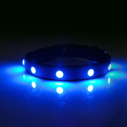 Lux LED Collar