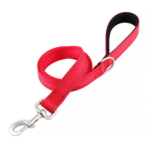 Reflective Lead (5ft)
