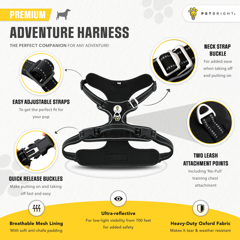 No-Pull Adventure Harness