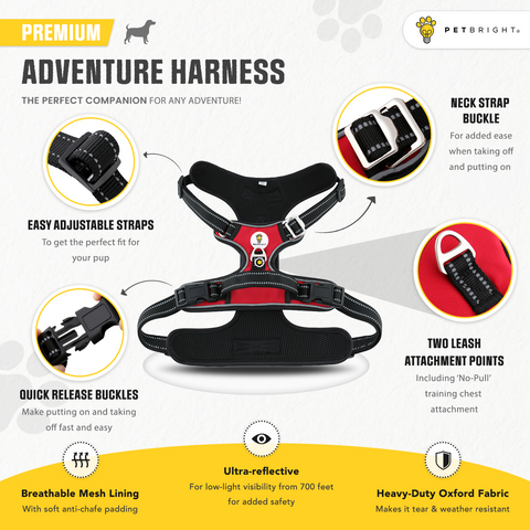 No-Pull Adventure Harness